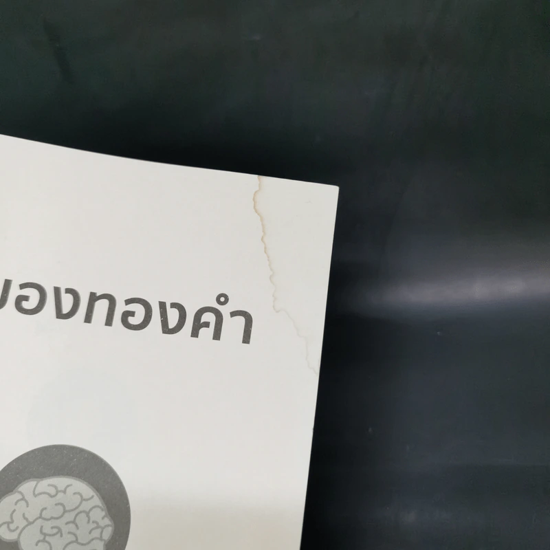 สมองทองคำ - ขุนเขา สินธุเสน เขจรบุตร รูปที่ 4