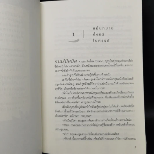 พระชายาป่วนใจ - เหลินเฉิง รูปที่ 5