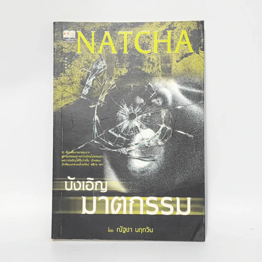 บังเอิญฆาตกรรม - ณัฐชา นฤกวิน รูปที่ 1