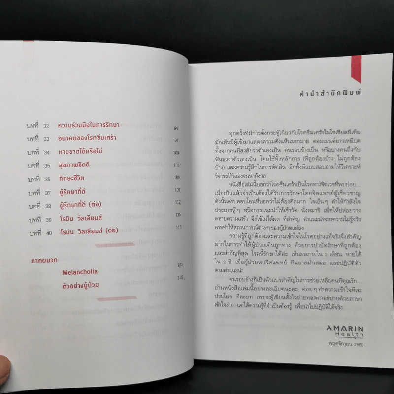โรคซึมเศร้า - นายแพทย์ประเสริฐ ผลิตผลการพิมพ์ รูปที่ 6