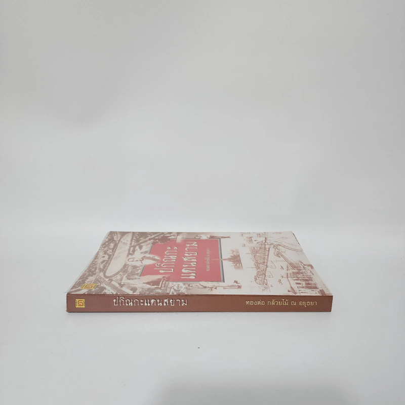 ปกิณกะแดนสยาม - ทองต่อ กล้วยไม้ ณ อยุธยา รูปที่ 2
