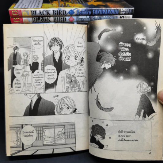 Black Bird 18 เล่มจบ - AKURAKOUJI Kanoko (ซากุระคูจิ คาโนโกะ) รูปที่ 6