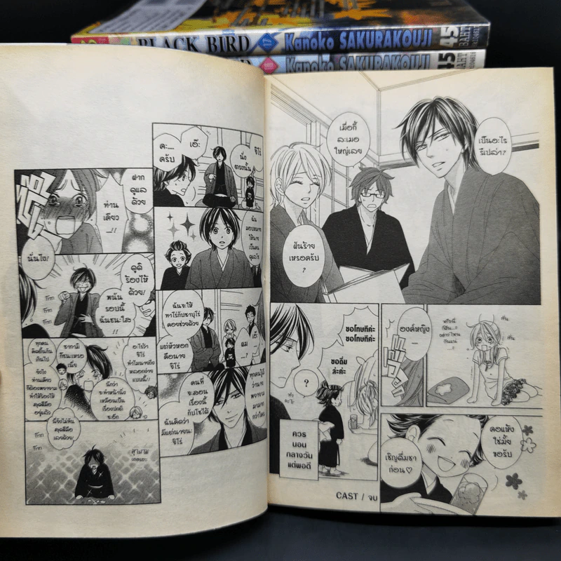 Black Bird 18 เล่มจบ - AKURAKOUJI Kanoko (ซากุระคูจิ คาโนโกะ) รูปที่ 8