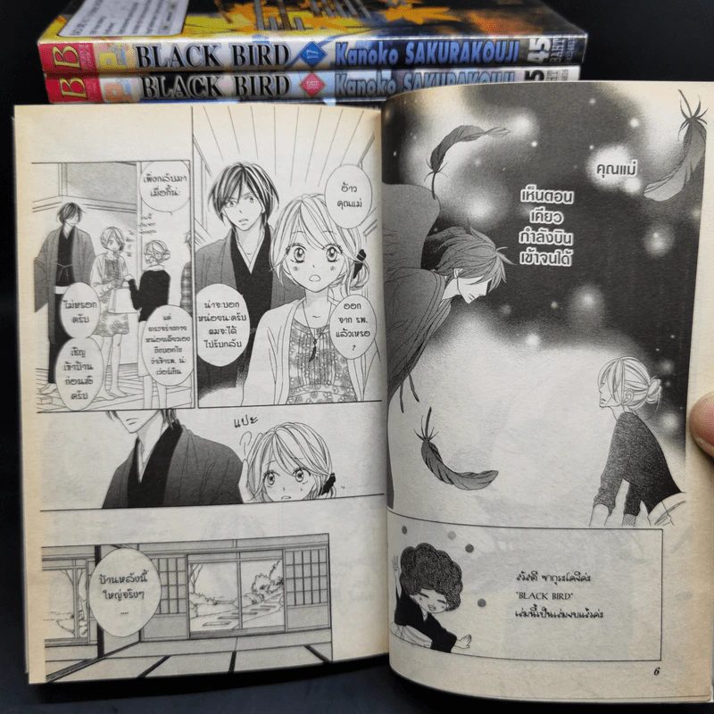 Black Bird 18 เล่มจบ - AKURAKOUJI Kanoko (ซากุระคูจิ คาโนโกะ) รูปที่ 6