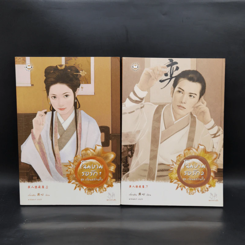 นิยายแจ่มใส Boxset ชุด เรือนพิทักษ์ใจ 6 เล่ม รูปที่ 7