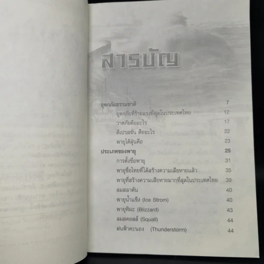 ไซโคลน พายุมรณะ - Mr.Sum Savapat รูปที่ 6