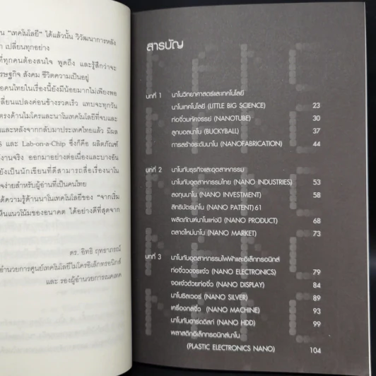 นาโนเทคโนโลยี จิ๋วแต่แจ๋ว - ดร.อดิสร เตือนตรานนท์ รูปที่ 6