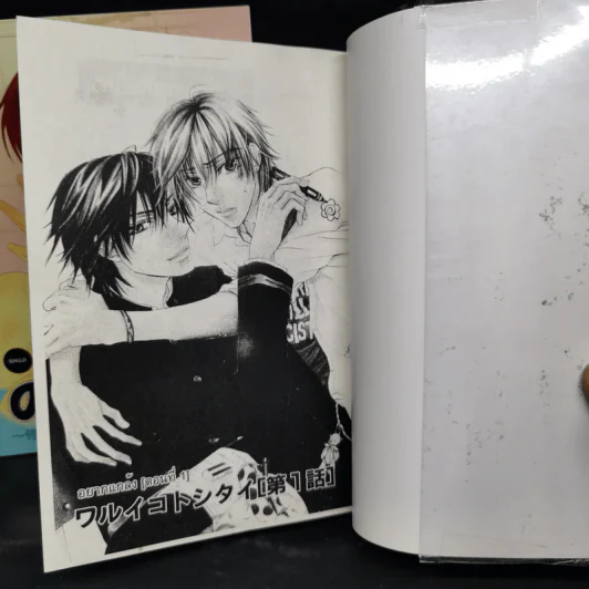 การ์ตูนวาย 4 เล่ม Warui - Sakuraga Mei รูปที่ 6