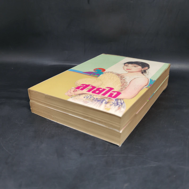 สายใจ 2 เล่มจบ - ลักษณวดี รูปที่ 4