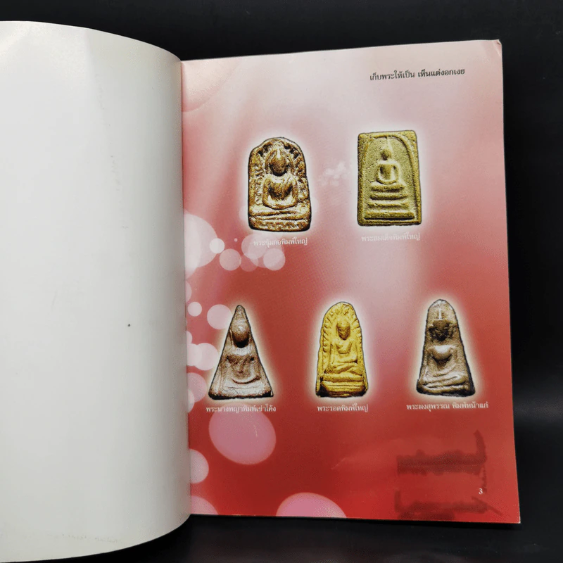 เก็บพระให้เป็น เห็นแต่งอกเงย - ษรวัฒน์ รูปที่ 5