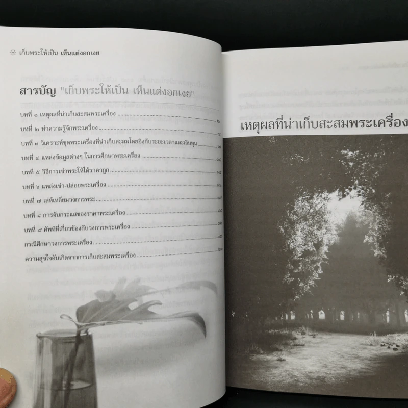 เก็บพระให้เป็น เห็นแต่งอกเงย - ษรวัฒน์ รูปที่ 7