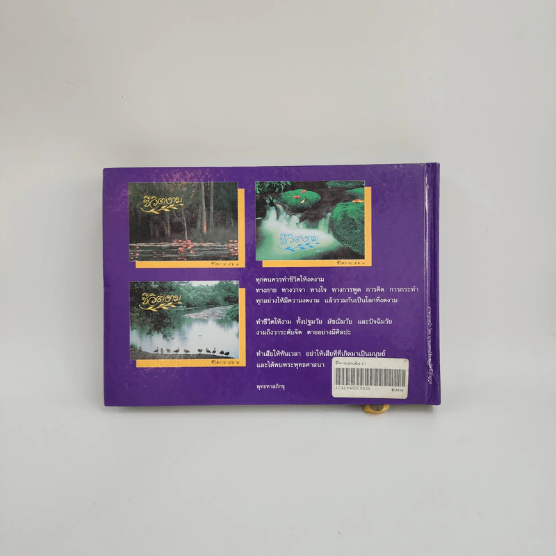 ชีวิตงาม รวมเล่ม 1-2-3 รูปที่ 3