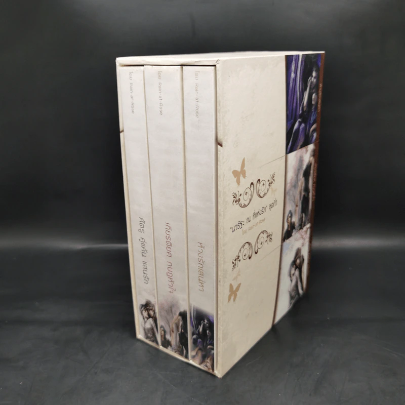 Boxset นิยายวาย นวรัฐะ ณ ที่แห่งรัก ชุดที่ 1 ครบชุด 3 เล่ม - Rain-at-Rose รูปที่ 1