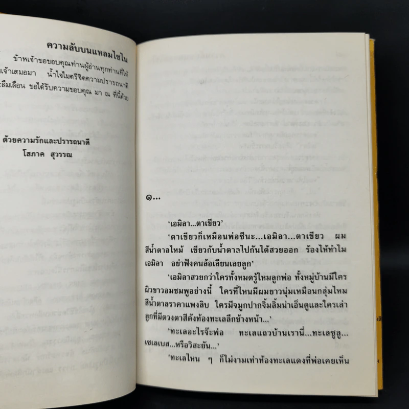 ความลับบนแหลมไซไน 2 เล่มจบ - โสภาค สุวรรณ รูปที่ 6
