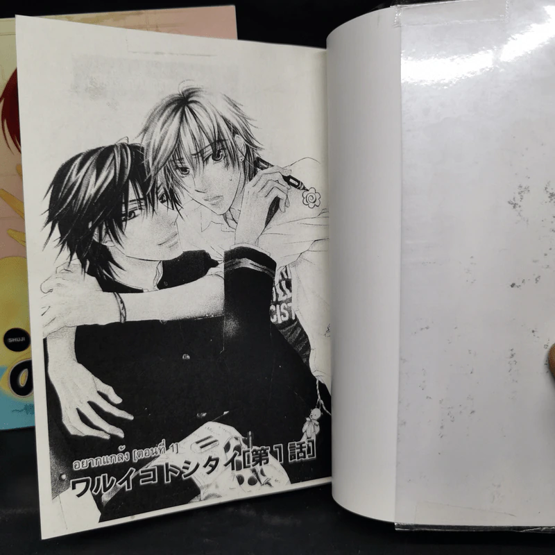 การ์ตูนวาย 4 เล่ม Warui - Sakuraga Mei รูปที่ 6