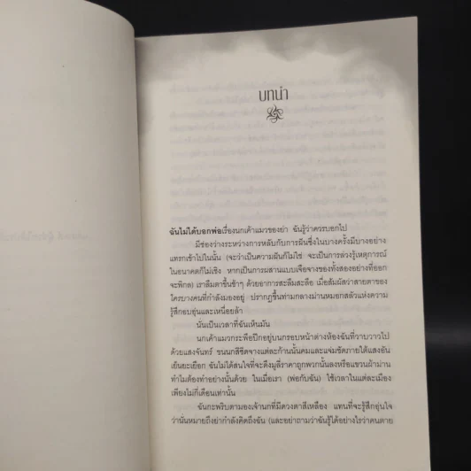 นางฟ้านักล่า - ลิลลี เซนต์ โครว รูปที่ 6