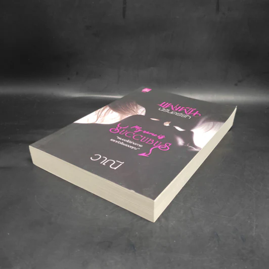 แฝงฝันนิรันดร์รัก (My Name is Succubus) - วาณี รูปที่ 5