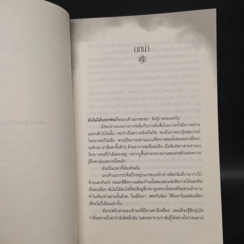 นางฟ้านักล่า - ลิลลี เซนต์ โครว รูปที่ 6