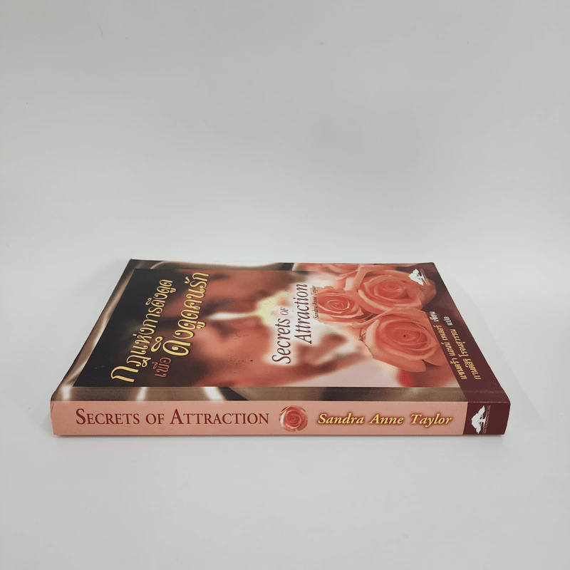 กฎแห่งการดึงดูดเพื่อดึงดูดคนรัก Secret of Attraction - แซนดร้า แอนน์ เทเลอร์ รูปที่ 2