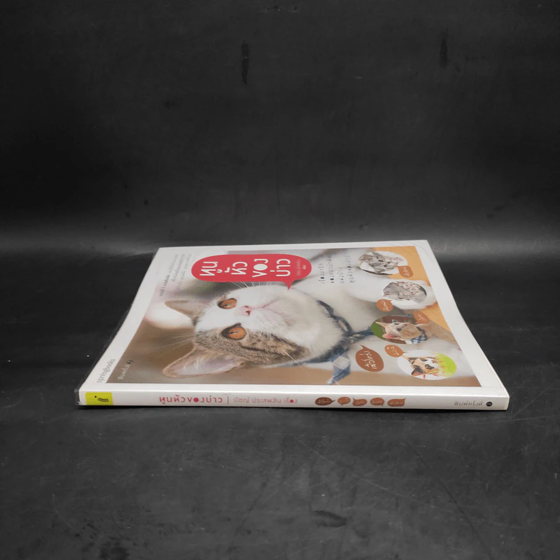 ทูนหัวของบ่าว - นัชญ์ ประสพสิน รูปที่ 3