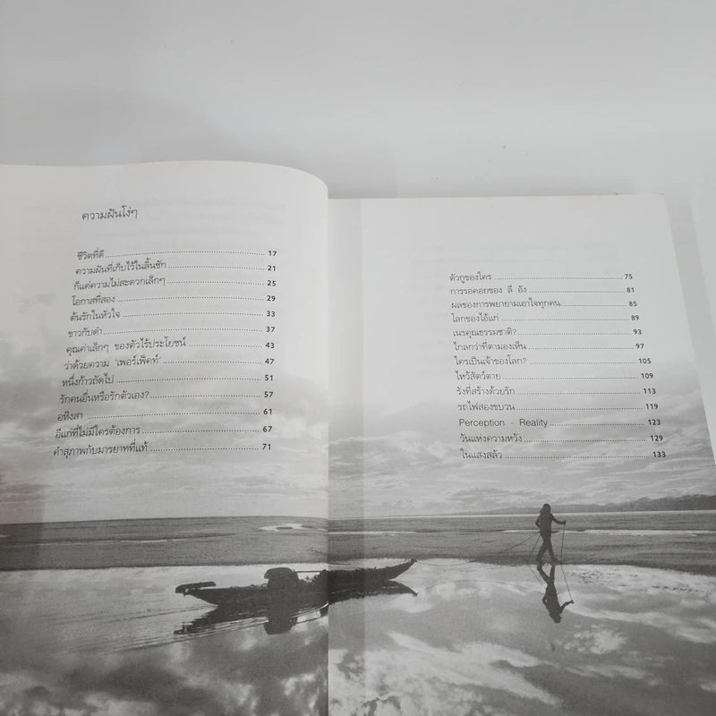 ความฝันโง่ๆ หนังสือเสริมกำลังใจ ชุด 2 - วินทร์ เลียววาริณ รูปที่ 3
