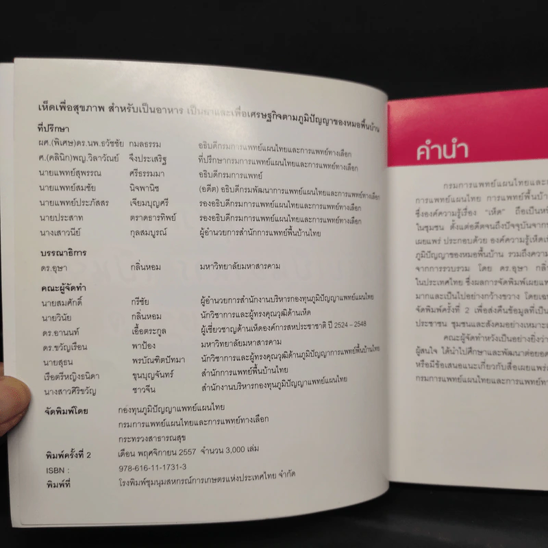 เห็ด...เพื่อสุขภาพ รูปที่ 4