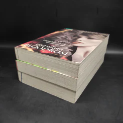 ชุด ปรารถนาในราตรี 3 เล่ม พิษอำพราง ลางทรยศ กุหลาบโลหิต รูปที่ 3