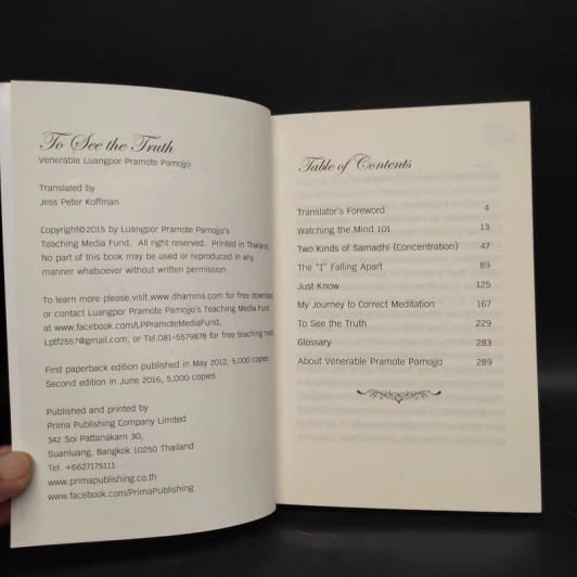 To See the Truth - Jess Peter Koffman รูปที่ 5