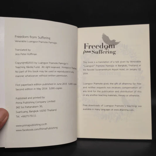 Freedom from Suffering - Jess Peter Koffman รูปที่ 5