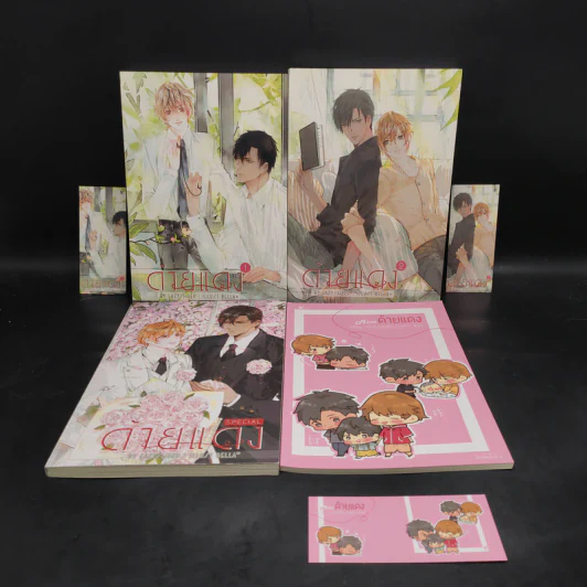 นิยายวาย ด้ายแดง 2 เล่มจบ + Special + Mini - LazySheep รูปที่ 1