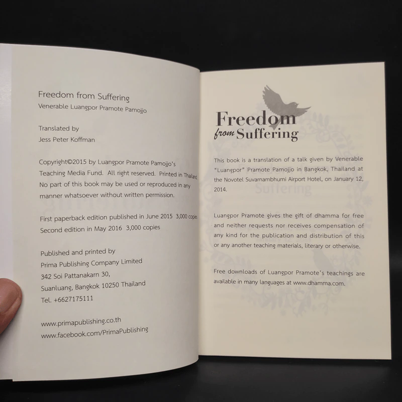 Freedom from Suffering - Jess Peter Koffman รูปที่ 5