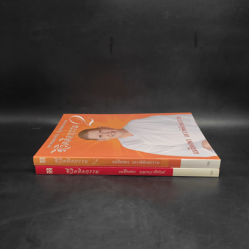 ชีวิตติดกรรม เล่ม 1-2 - แม่ชีทศพร บุญเทวาพิทักษ์ รูปที่ 3