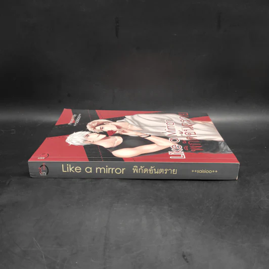 นิยายวาย Like a Mirror พิกัดอันตราย - ++saisioo++ รูปที่ 3