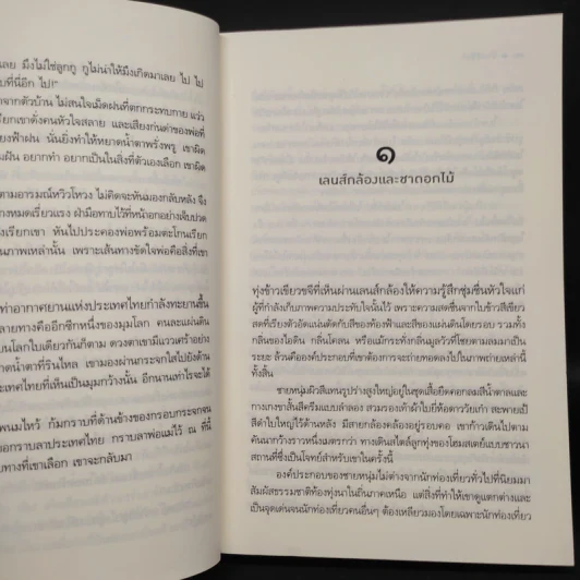 บ้านสีรุ้ง - จำปาลาว รูปที่ 6