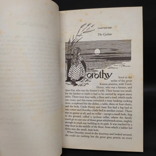 The Wonderful Wizard of Oz & Glinda of Oz - L. Frank Baum รูปที่ 7