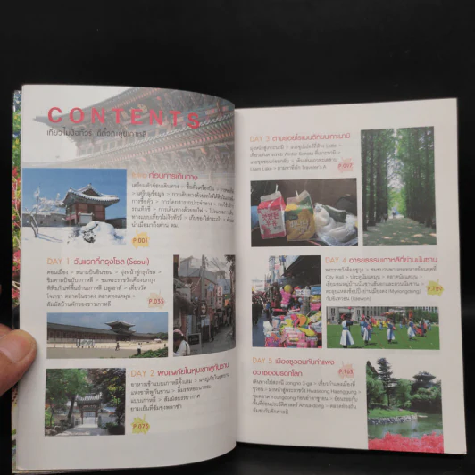 เที่ยวไม่ง้อทัวร์ ตีตั๋วตะลุยเกาหลี รูปที่ 6