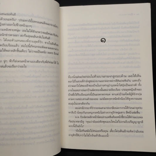 ตุ๊กตาหลงเงา - เรณี รูปที่ 6