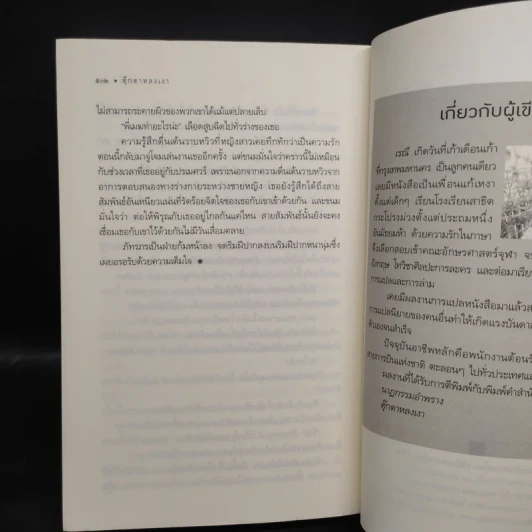 ตุ๊กตาหลงเงา - เรณี รูปที่ 7
