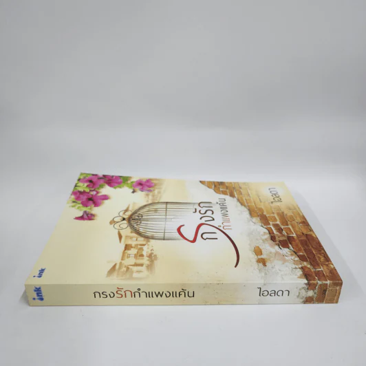 กรงรักกำแพงแค้น - ไอลดา รูปที่ 2