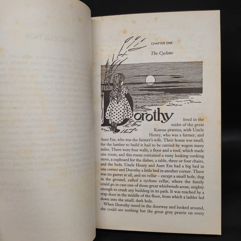 The Wonderful Wizard of Oz & Glinda of Oz - L. Frank Baum รูปที่ 7