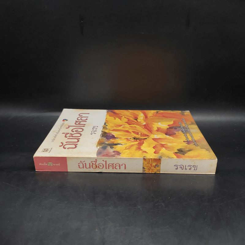 ฉันชื่อไศลา - รจเรข รูปที่ 3