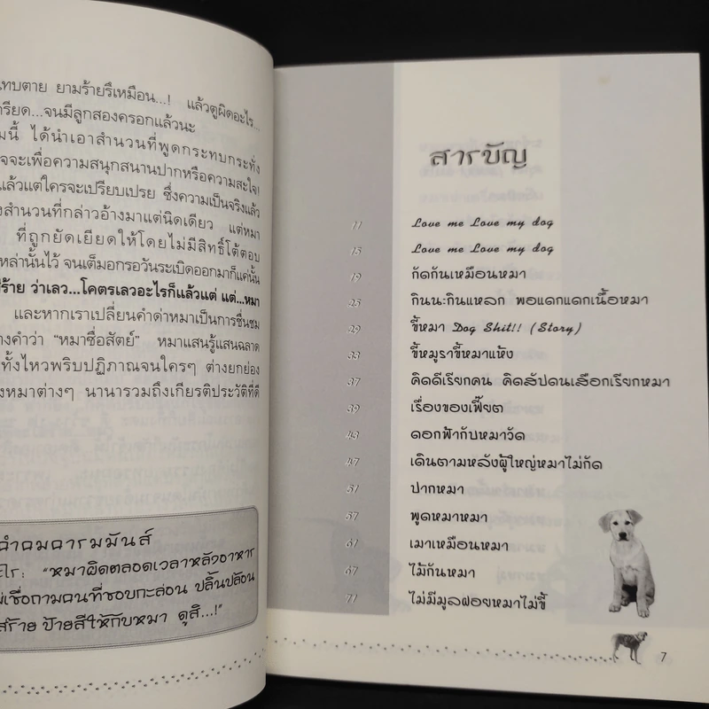 หมาผิดอะไร - ชมรมชื่นชมหมา รูปที่ 6