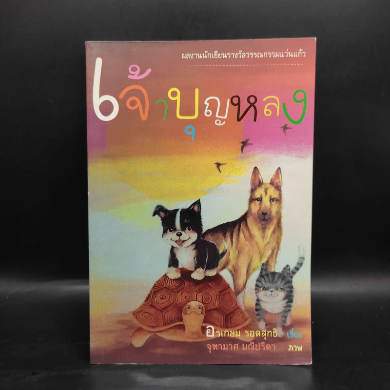 เจ้าบุญหลง - อรเกษม รอดสุทธิ รูปที่ 1
