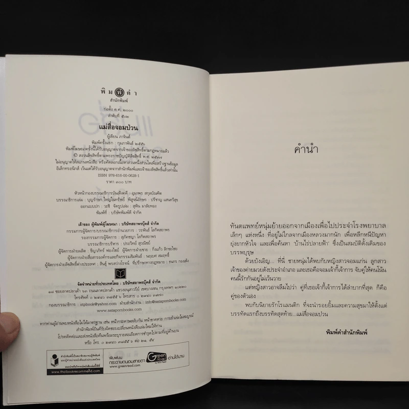 แม่สื่อจอมป่วน - ภาจินต์ รูปที่ 5