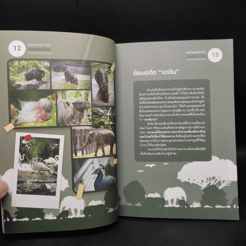 มหัศจรรย์เมืองไทย สวนสัตว์ไทย Amazing Zoo รูปที่ 6