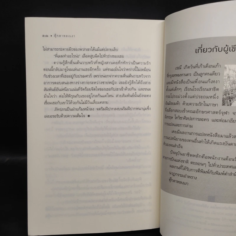 ตุ๊กตาหลงเงา - เรณี รูปที่ 7