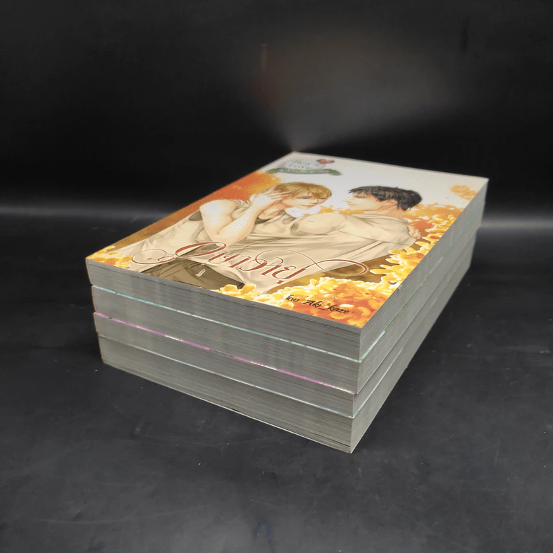 นิยายวาย Boy's Love 17 The Series Seasons of Love 4 เล่ม รูปที่ 6