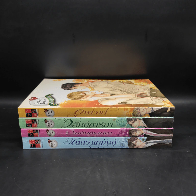 นิยายวาย Boy's Love 17 The Series Seasons of Love 4 เล่ม รูปที่ 5