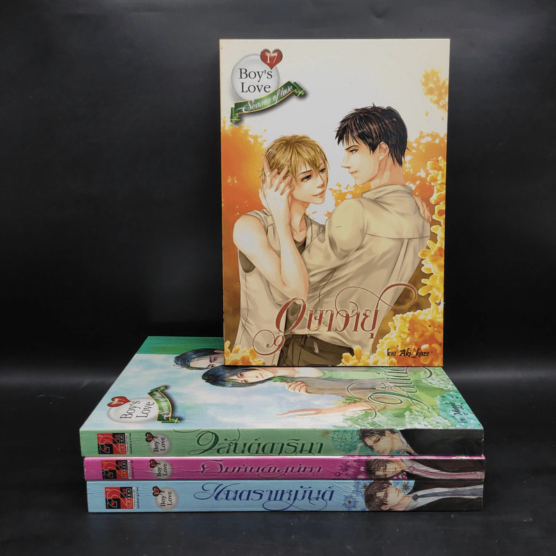 นิยายวาย Boy's Love 17 The Series Seasons of Love 4 เล่ม รูปที่ 4