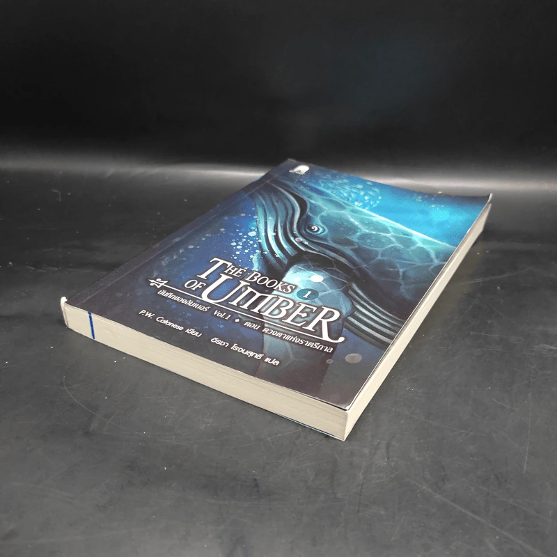 บันทึกของอัมเบอร์ Vol.1 ตอนดวงตาแห่งราตรีกาล - P.W. Catanese รูปที่ 4